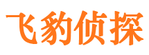 洛龙侦探公司